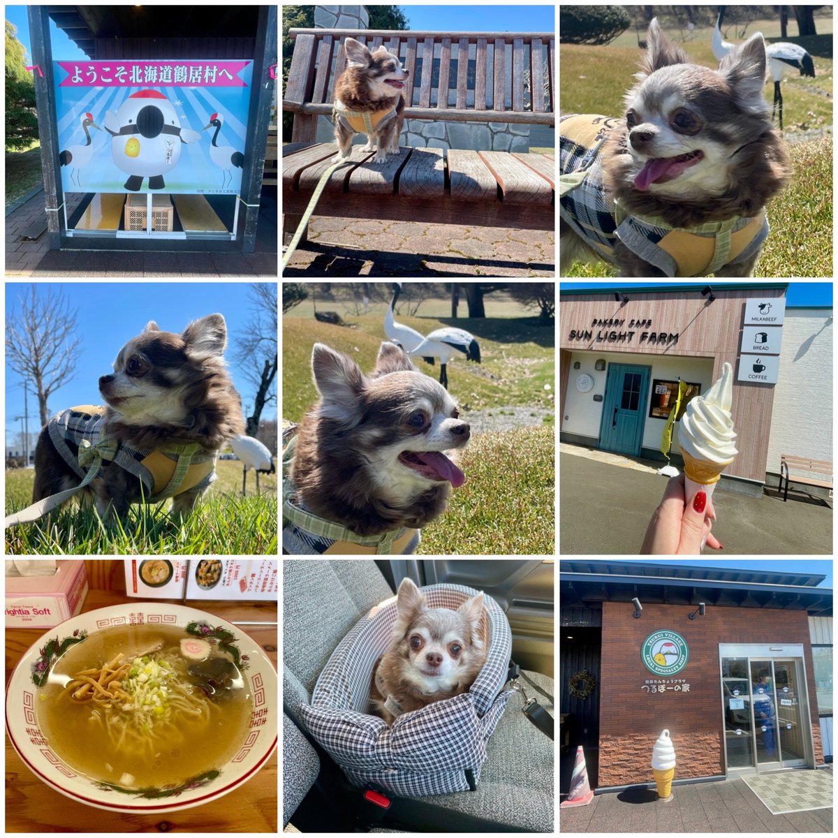 motoko❤️ tweet media