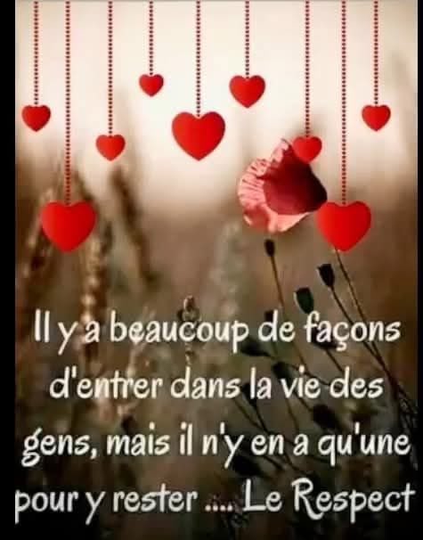 KristelBERINGER's tweet image. A LIRE !!
#RESPECT