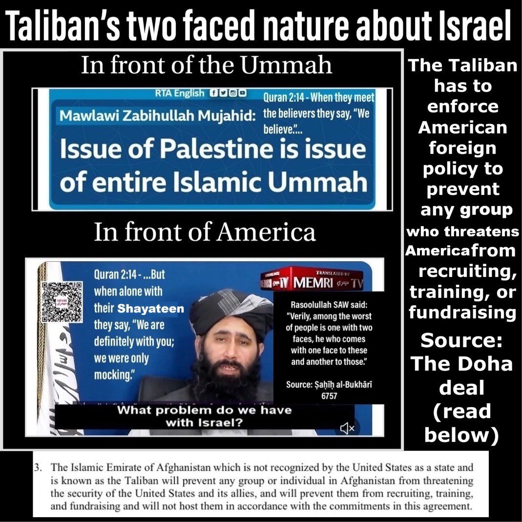 Journo Jet Dude tweet media