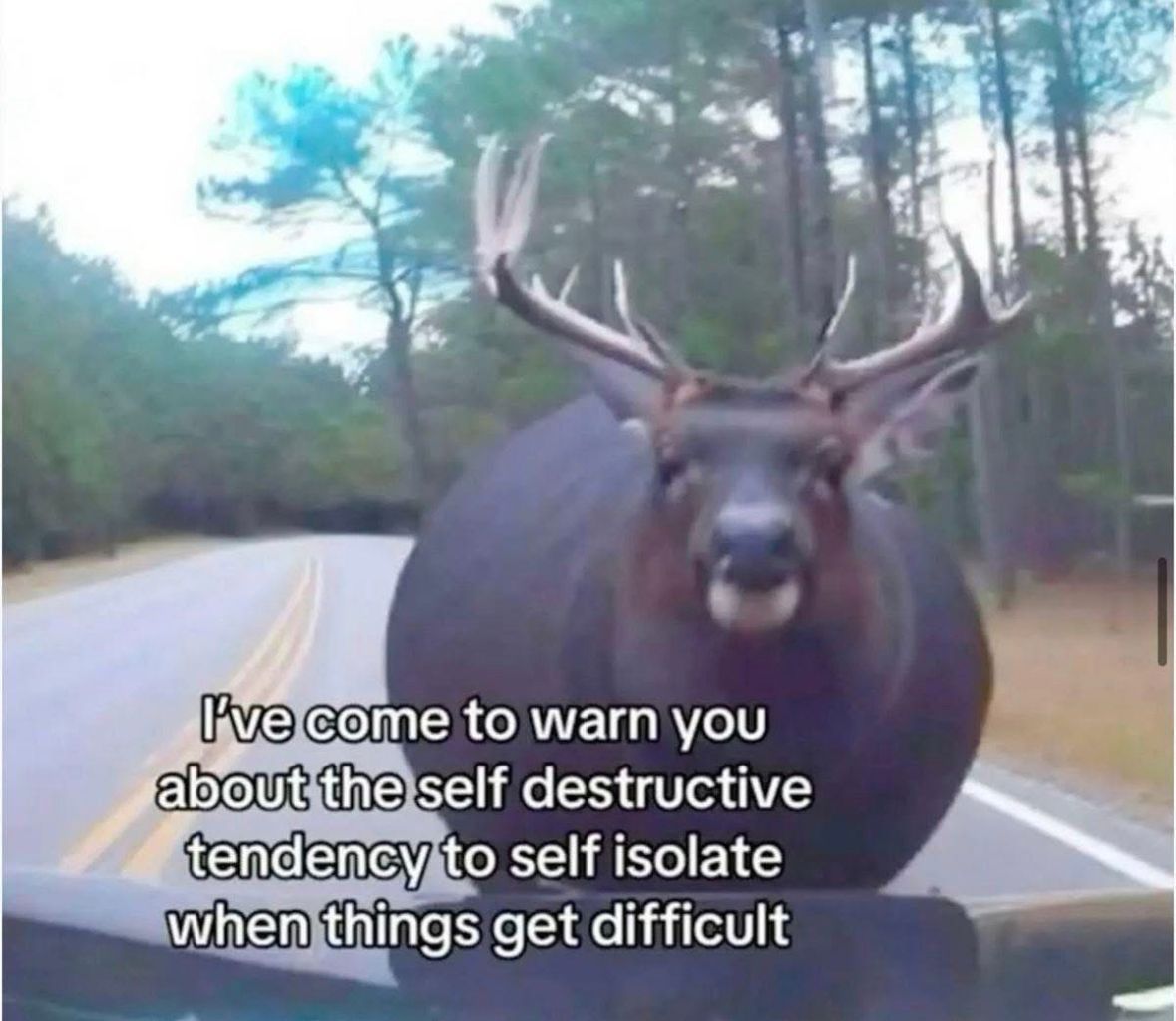 ADHD Memes tweet media