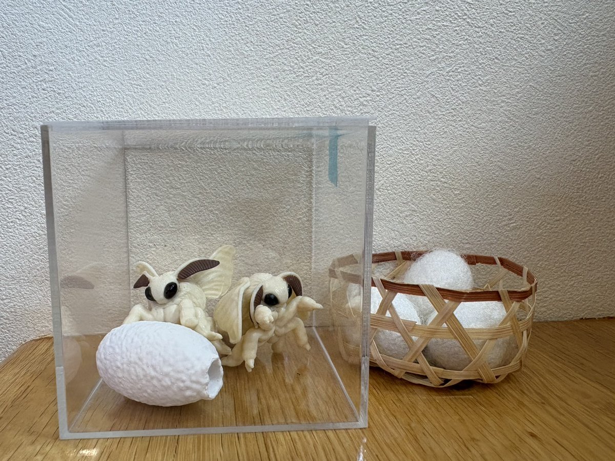 橿原市昆虫館（公式） tweet media