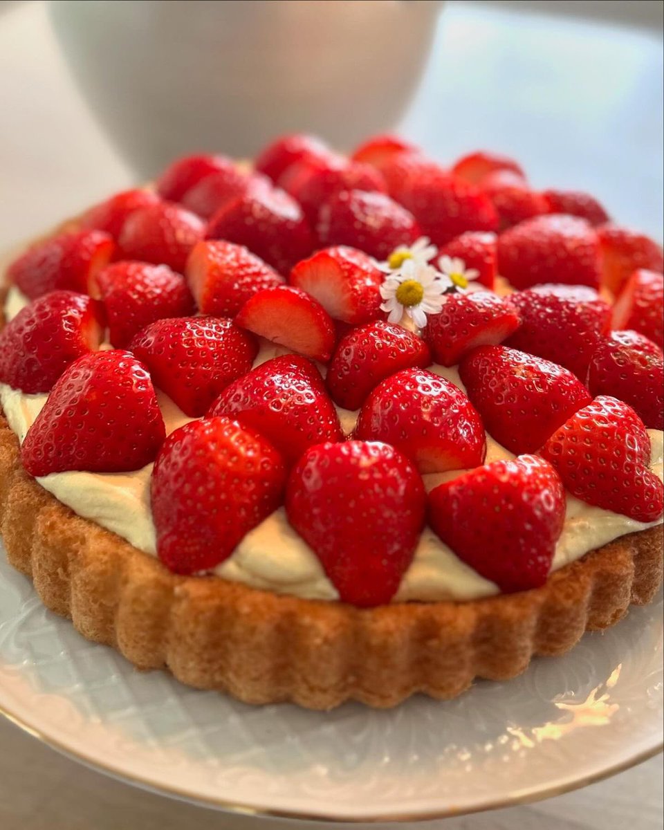 ed_colourgrey's tweet photo. childhood foods and 4 moots to do the same 🤭

🌸semolina pudding 
🌸lentil soup
🌸grandmas strawberry cake 
🌸this chocolate pudding 

@bluelikeaberry @trynanottodie @muscel_Kitty @kitty_kcals https://t.co/4L7HGRdxLW