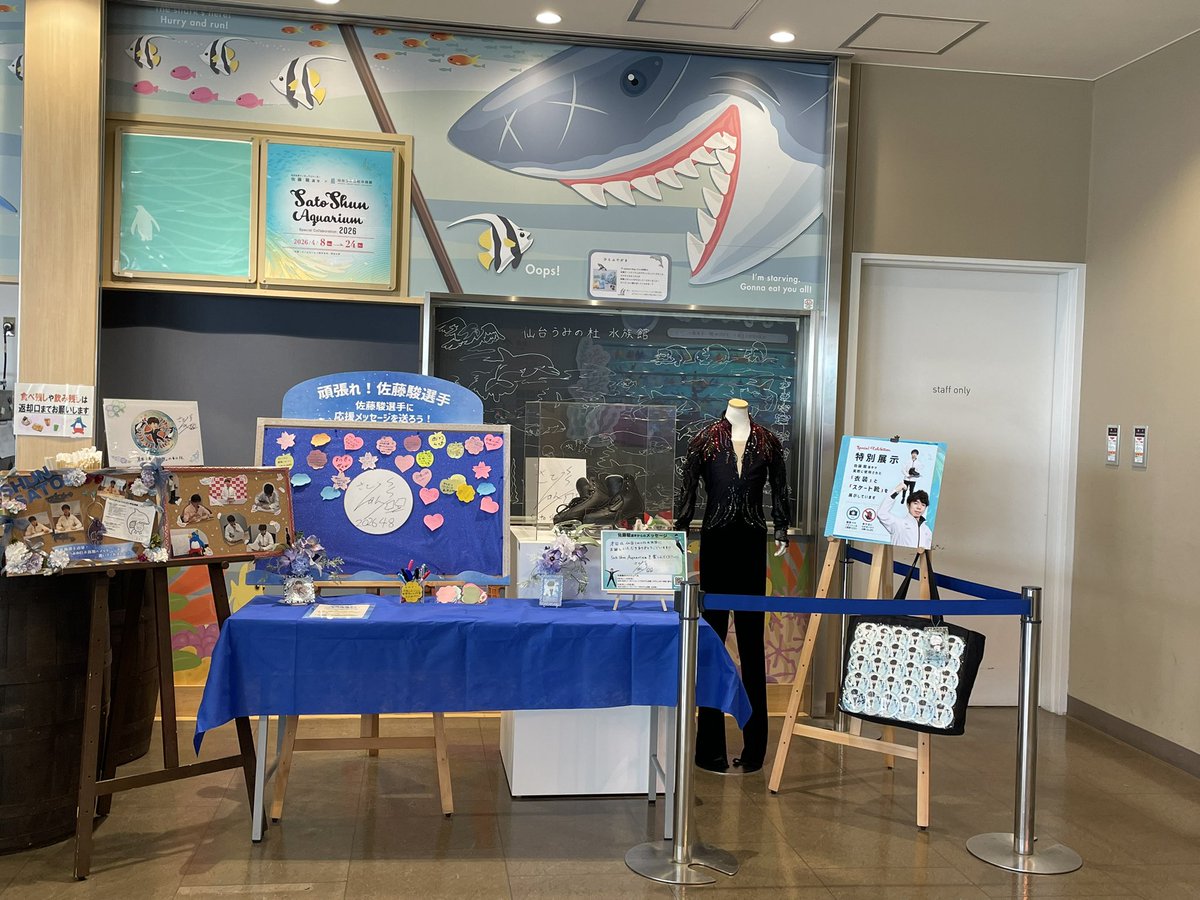 さけちゃ-2519🪻🐦🔥🌸🌻 tweet media