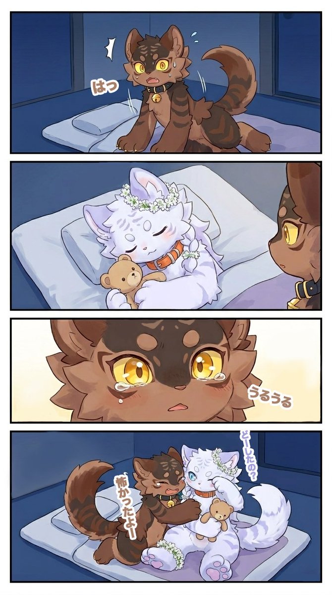 こいし / koishi_17 tweet media