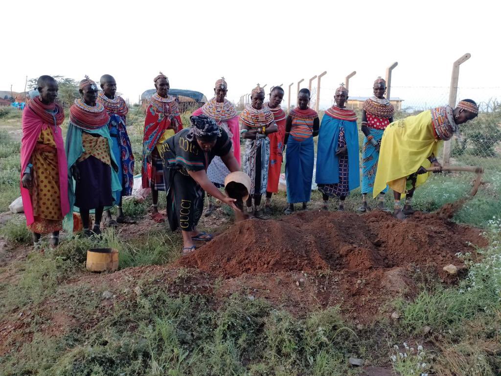 Indigenousinnet's tweet image. 🌍✨ Flashback Apr 28, 2023: Indigenous peoples thrive in harmony with nature. On this day, @naiyan_kiplagat with @paranwomen2019 trained women at @KiltamanyCenter on food security solutions despite irregular rains. 🌱💧 
#Resilience #FoodSecurity