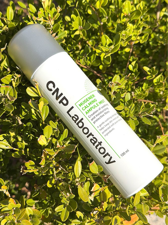 CNP 차앤박 tweet media