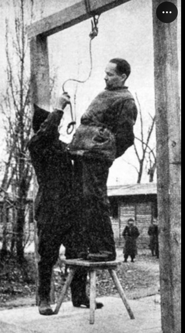 Prof. Frank McDonough tweet media