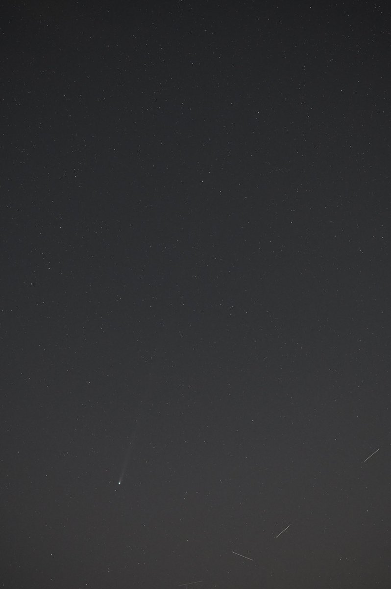 関岡 大晃 | Hiroaki Sekioka tweet media