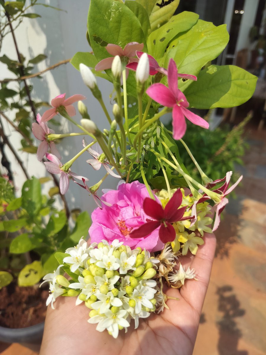 Aparna Karthikeyan tweet media