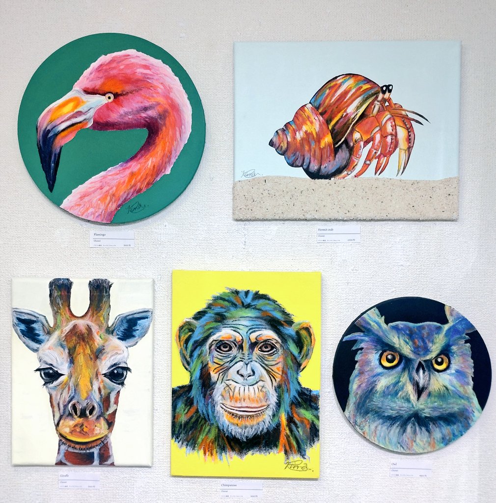 IYN 中島 tweet media