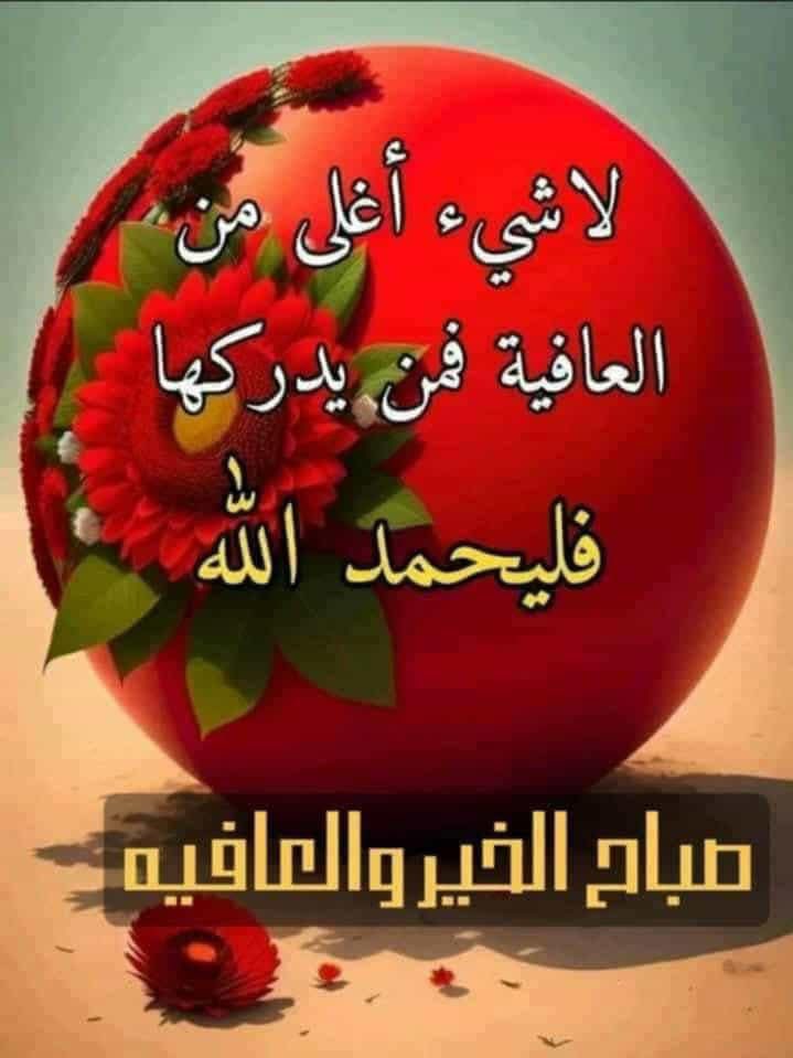 <a href="/abomustafa641/">أبو مصطفى</a>