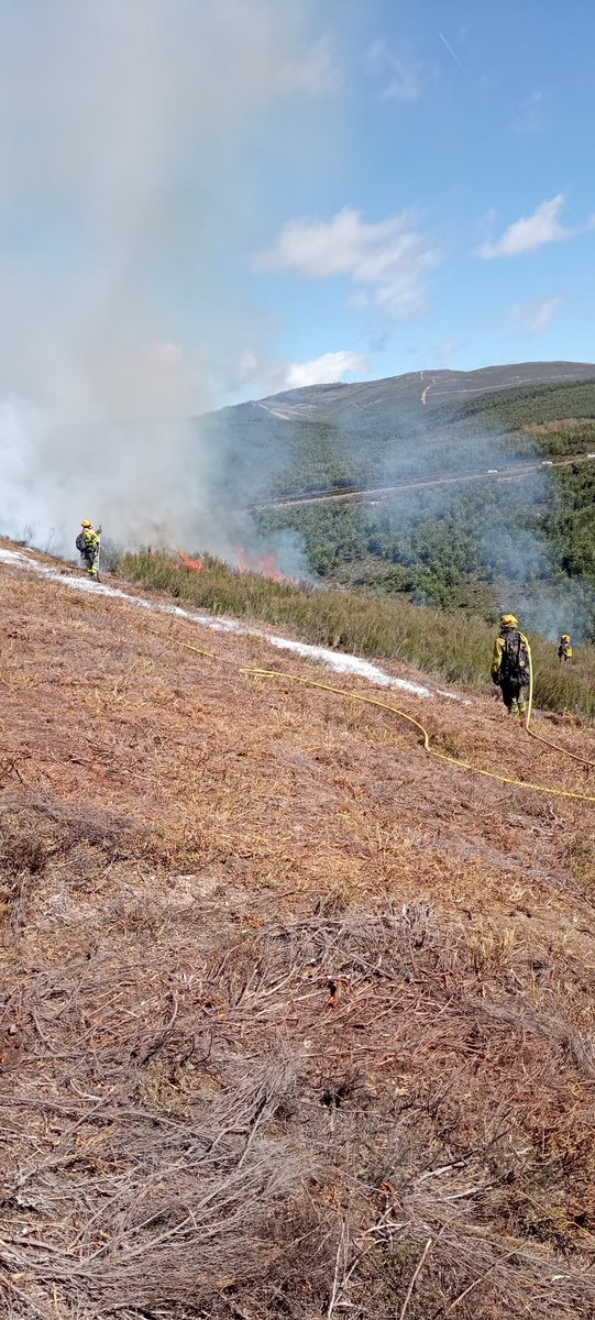 AT_Brif's tweet photo. #EPRIF+#BLP @BrifLaza realizaron ayer una quema prescrita en Edreira, Ayuntamiento de A Veiga #Ourense.
Con una superficie de 3'5 hectáreas y con objetivo de #PrevencionIIFF y regeneración y mejora de pastizales para para aprovechamiento ganadero.
#RxFire🔥
#GoodFire🔥 https://t.co/PlPWc8r7dI