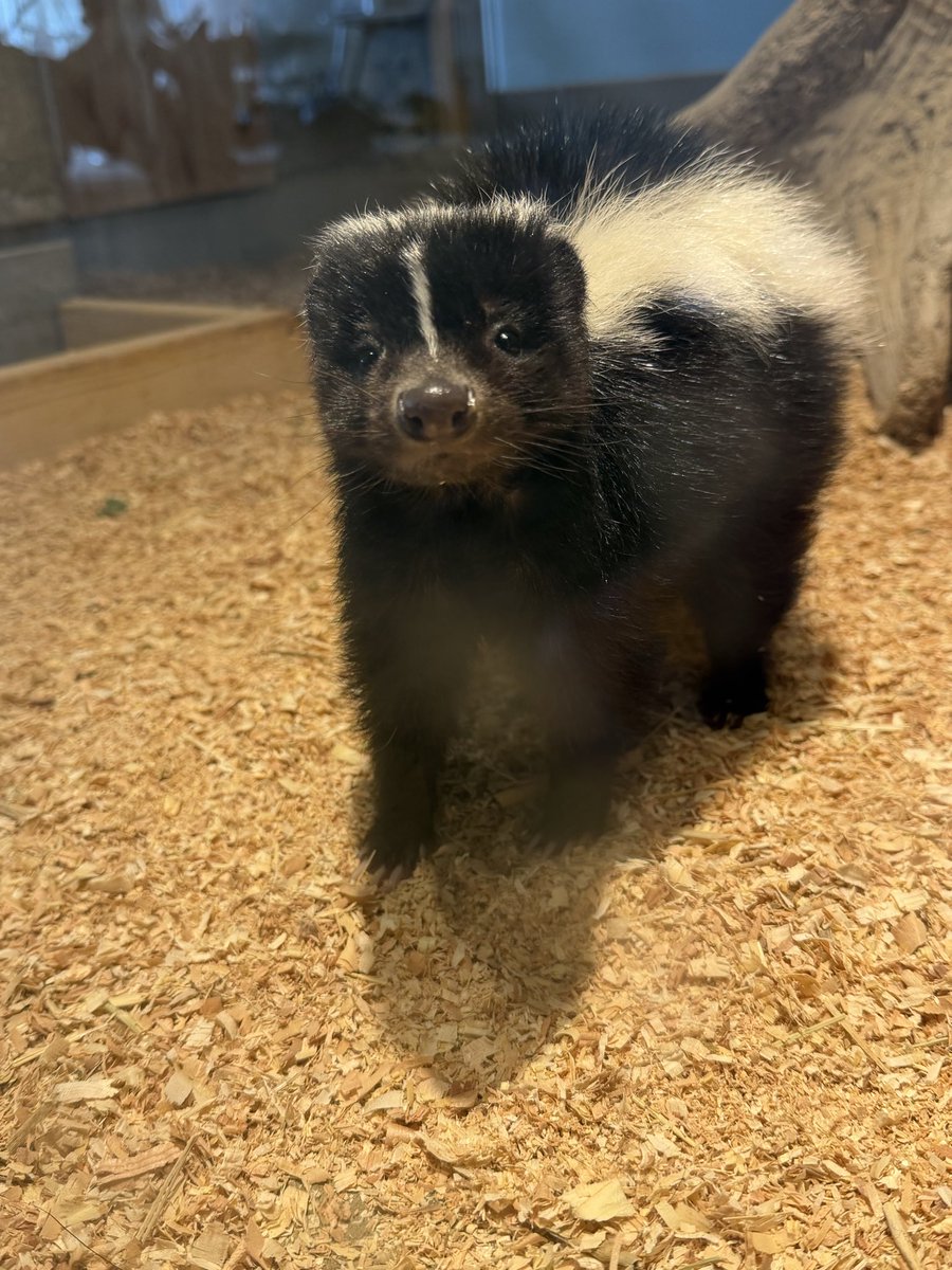 【公式】霞ケ浦 どうぶつとみんなのいえ tweet media