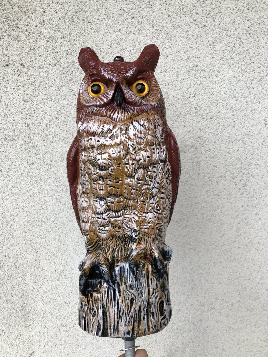 関西電力送配電株式会社【公式】 tweet media