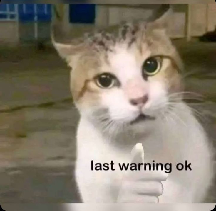 Avisha🇮🇳 tweet media