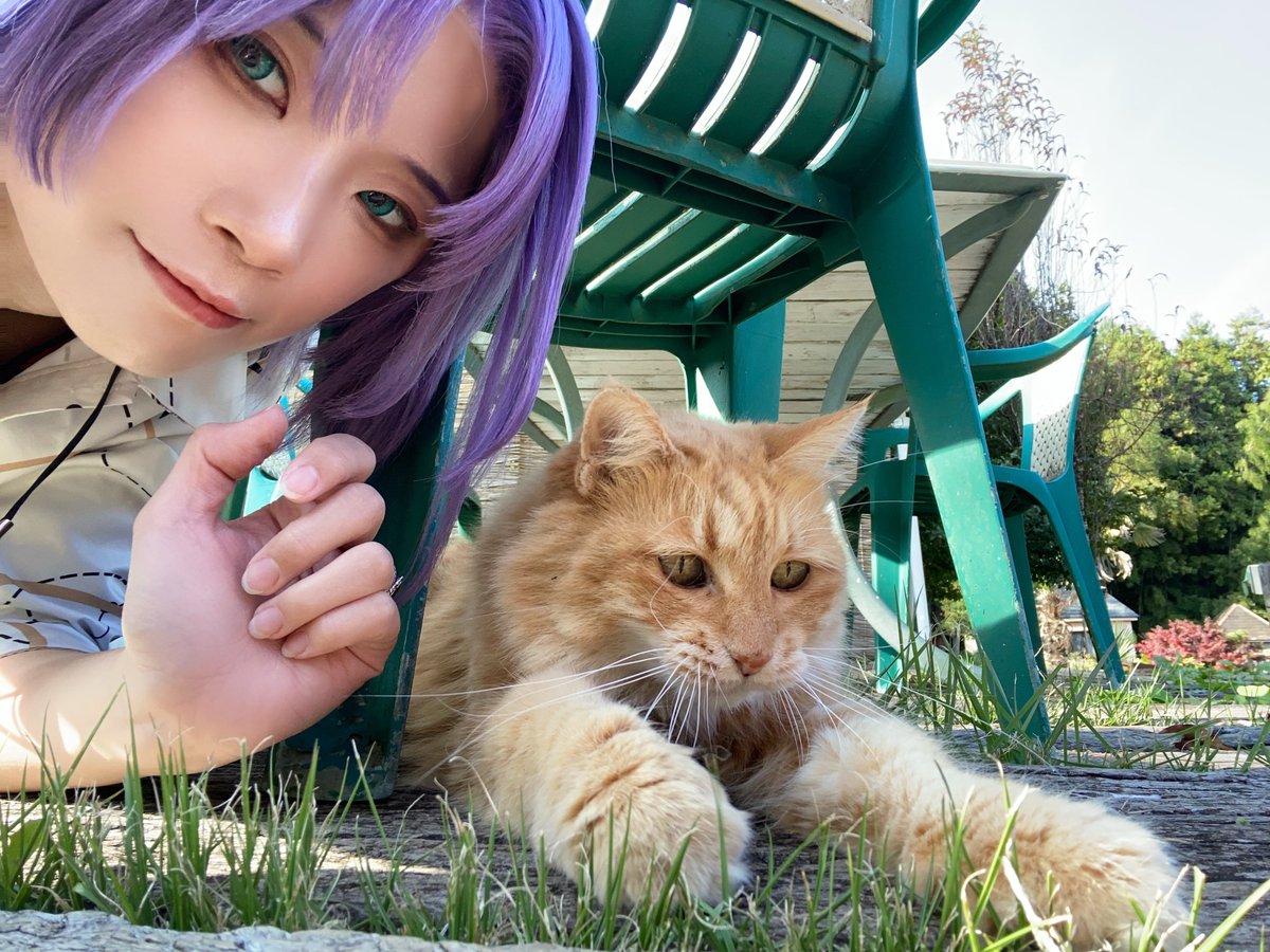 はるきち🪶 tweet media