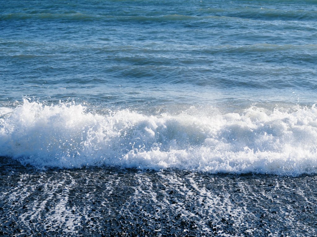 ひとしお tweet media