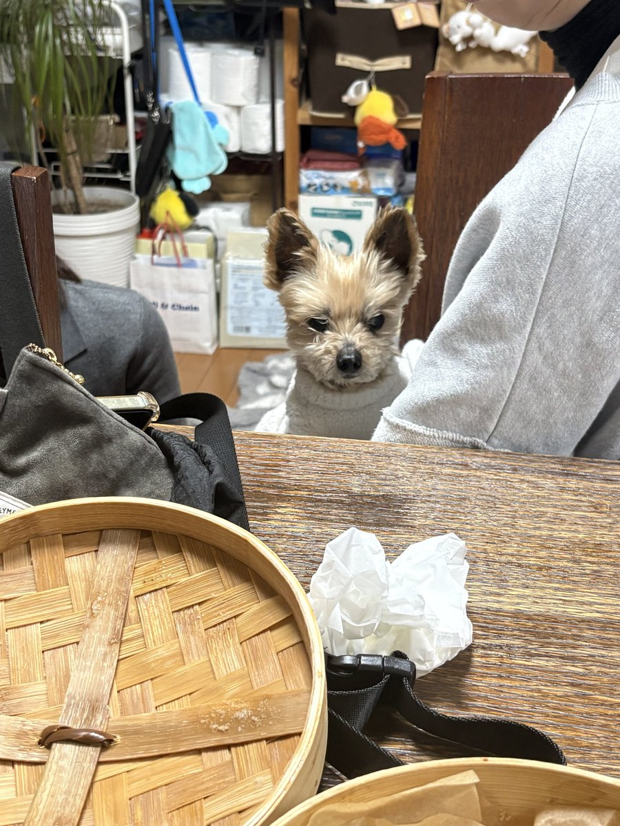 G(55.3kg🍏 tweet media