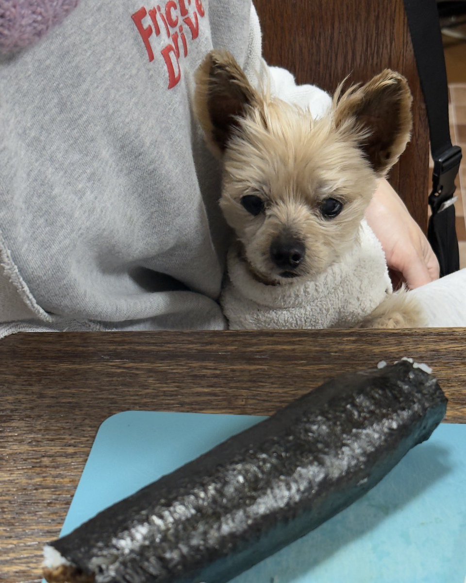 G(55.3kg🍏 tweet media