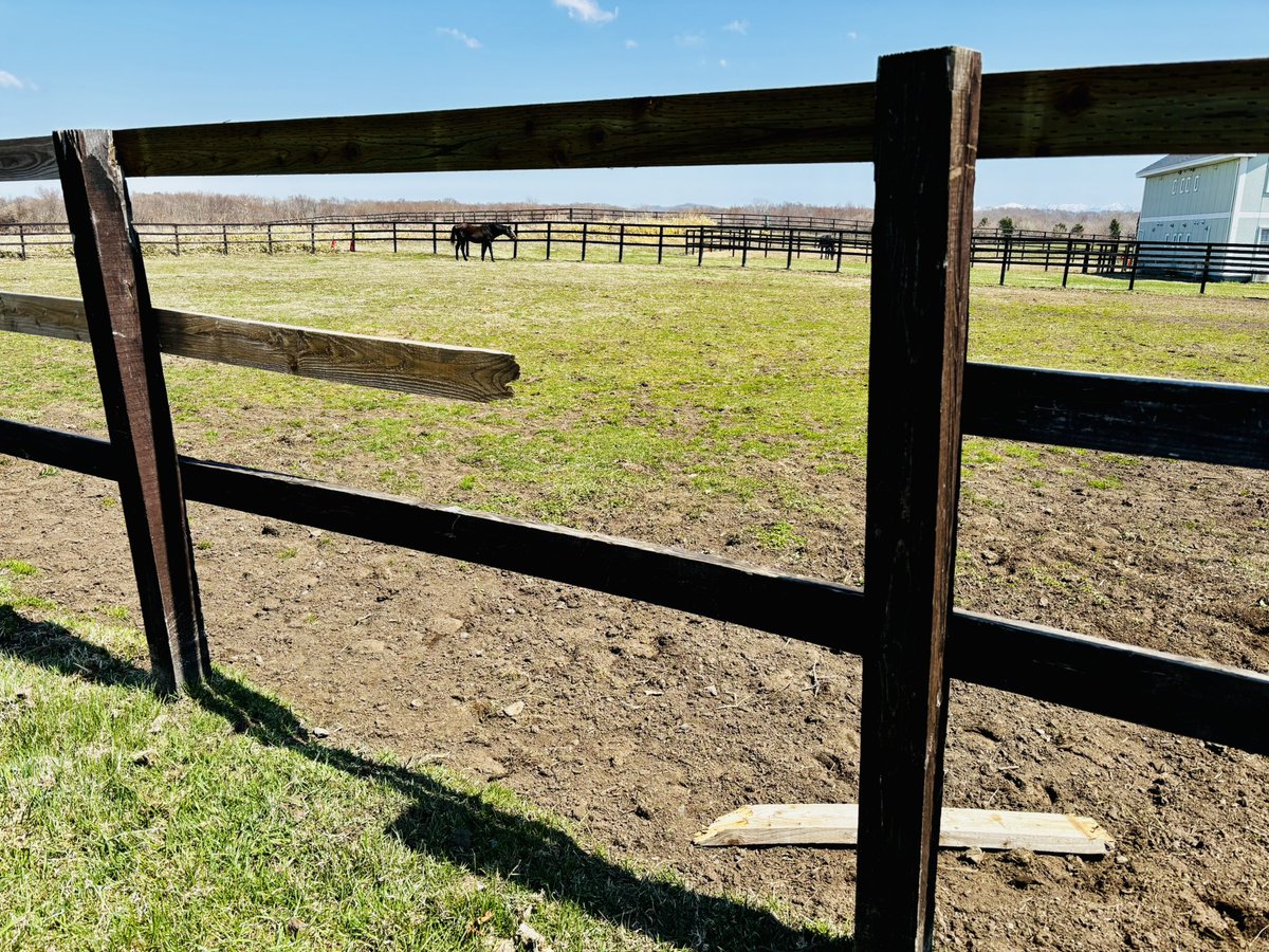 おーた部長👨‍🌾Yogibo ヴェルサイユリゾートファーム STAFF🌹 tweet media