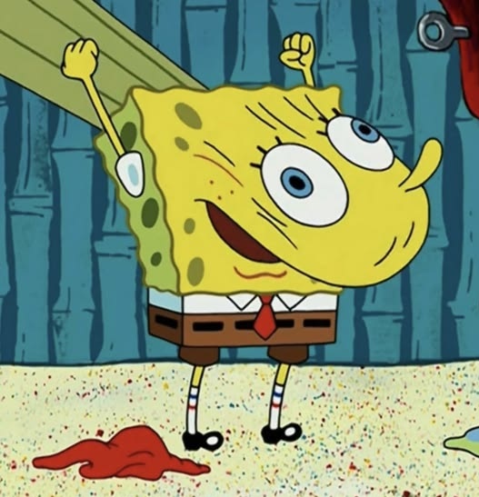 ˙⋆✮ 𝗺𝗂𝙨𝙨 𝘩𝖺𝙧𝗹𝗲𝙦𝗎𝗂𝗇 ✮⋆˙ 🌈 🍉 tweet media