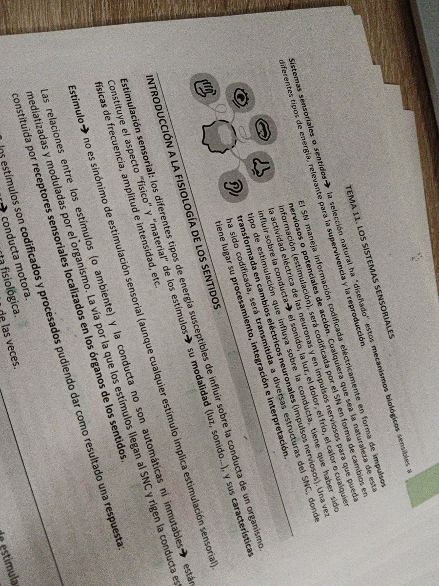 criminalpsych_'s tweet photo. hoy me toca estudiar 29 páginas de psicobiología 🥶 pero bueno me gusta ver como mi carpeta se va haciendo más y más pequeña segun voy sacando los temas que termino #studytwtes https://t.co/nQtd9Lu1Vo