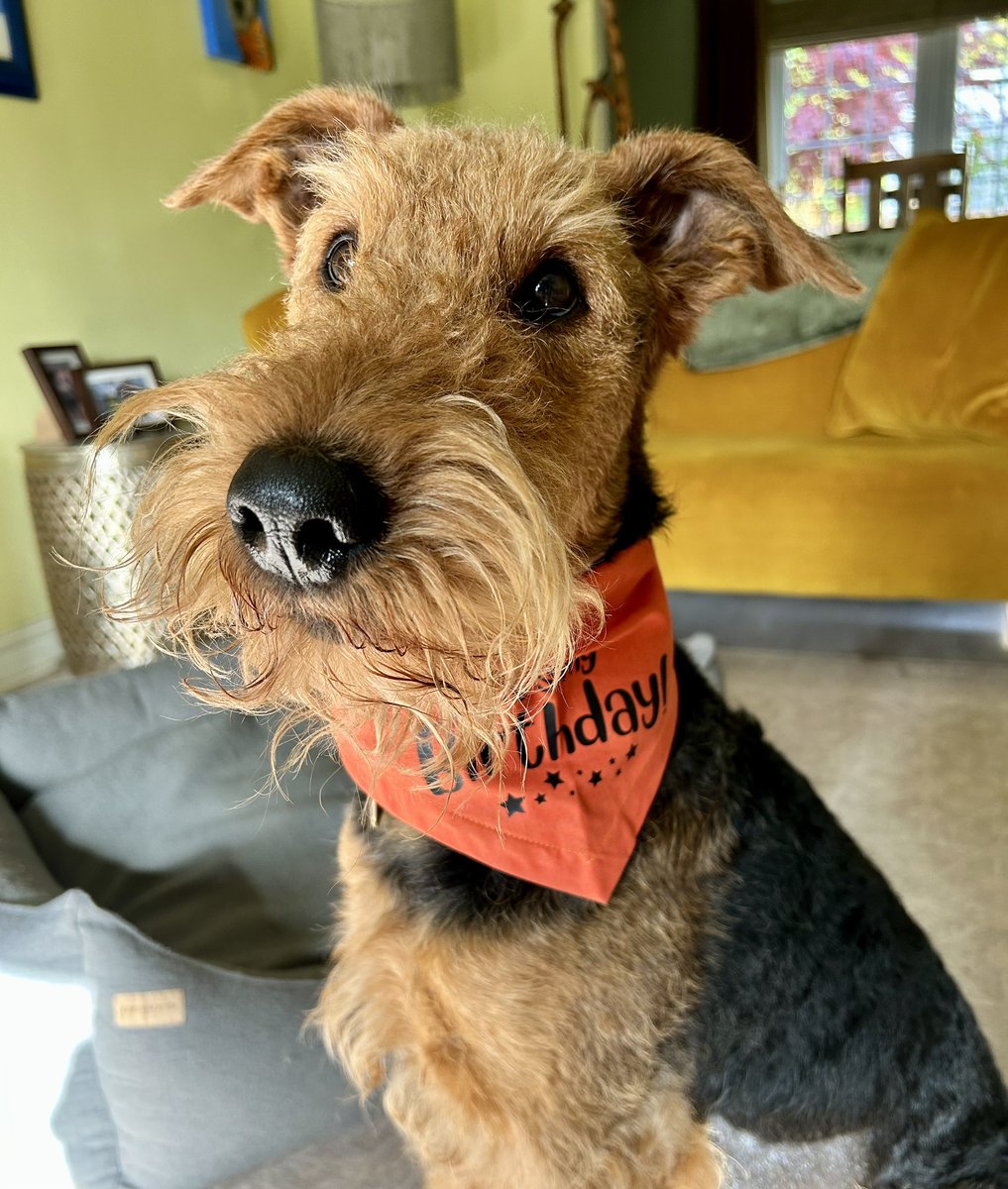 Phoebe & Hugo Dale🌈Jack and Molly OTRB🌈 tweet media