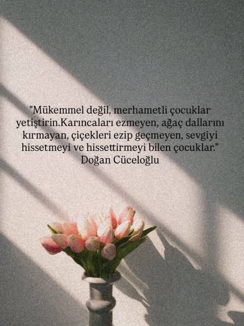 zeynopella's tweet photo. Binbir emekle, üzerine titreyerek büyütülen evlatlar; hiçbir terbiye almadan sokağa salınanların kurbanı olmamalı.

Dün Şanlıurfa bugün Kahramanmaraş yarın bir başka ilimizin olmasın!

#EğitimdeŞiddeteHayır
#YusufTekinİstifa https://t.co/o0P1zJMQzr