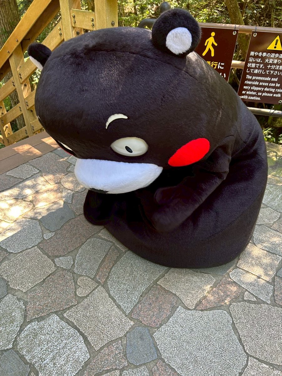 くまモン【公式】 tweet media