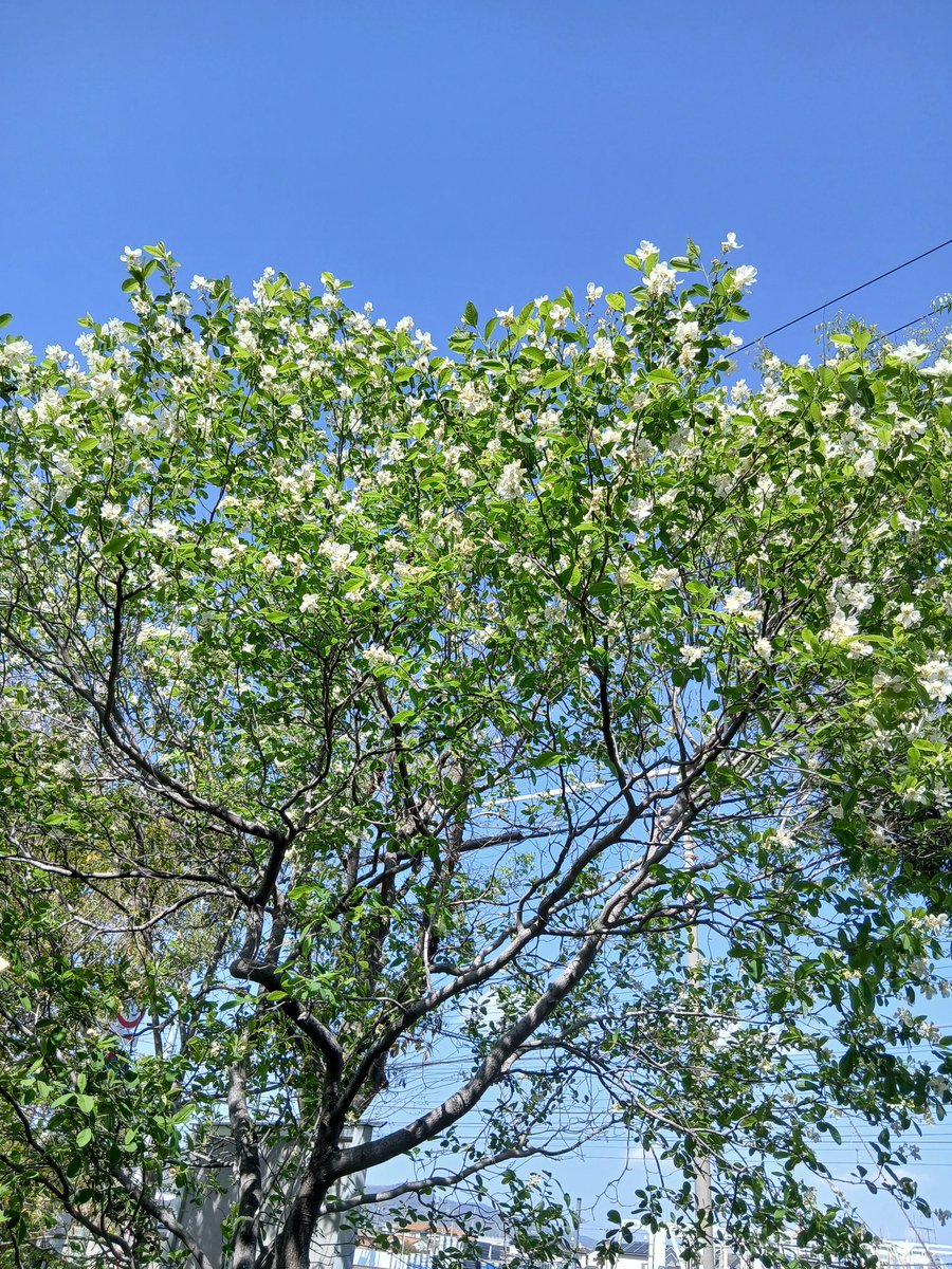 かずろー tweet media