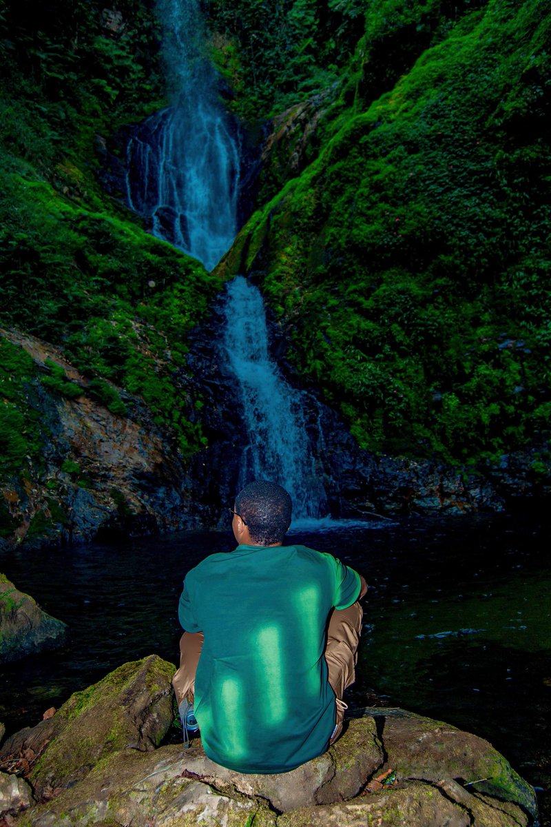 _Toussaint_3's tweet image. Sri Lanka, Thailand and Nepal is great place for nature lovers especially on budget but have you tried @NyungwePark in Rwanda? 

Where heart meet the nature.  

@visitrwanda_now 
#Travel 
#ExploreMore 
#Rwot