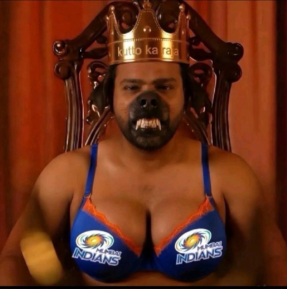 yoyo18🇮🇱 tweet media