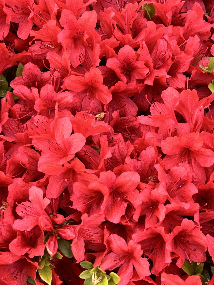 홍홍🔥 tweet media