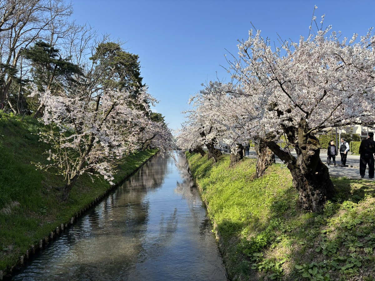 𝗡𝗮𝘁𝘀𝘂𝗺𝗶 tweet media