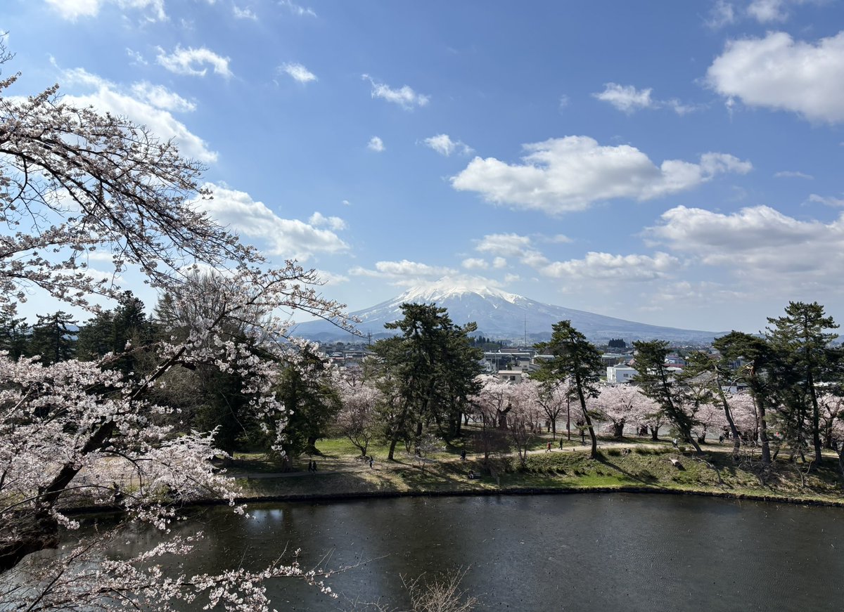 𝗡𝗮𝘁𝘀𝘂𝗺𝗶 tweet media