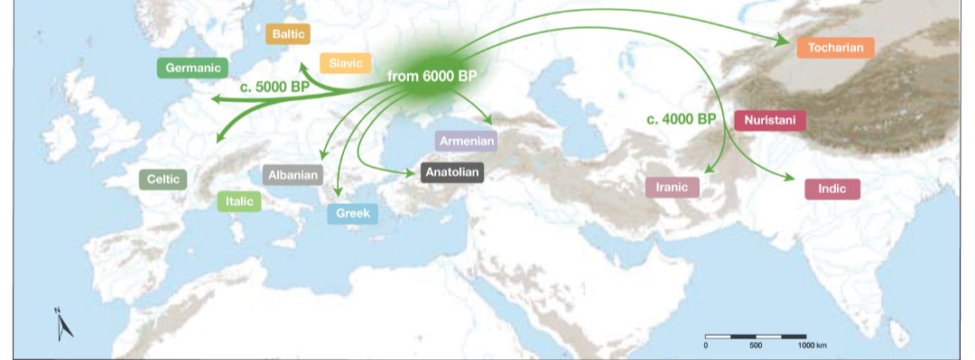 Andrew Troyno tweet media