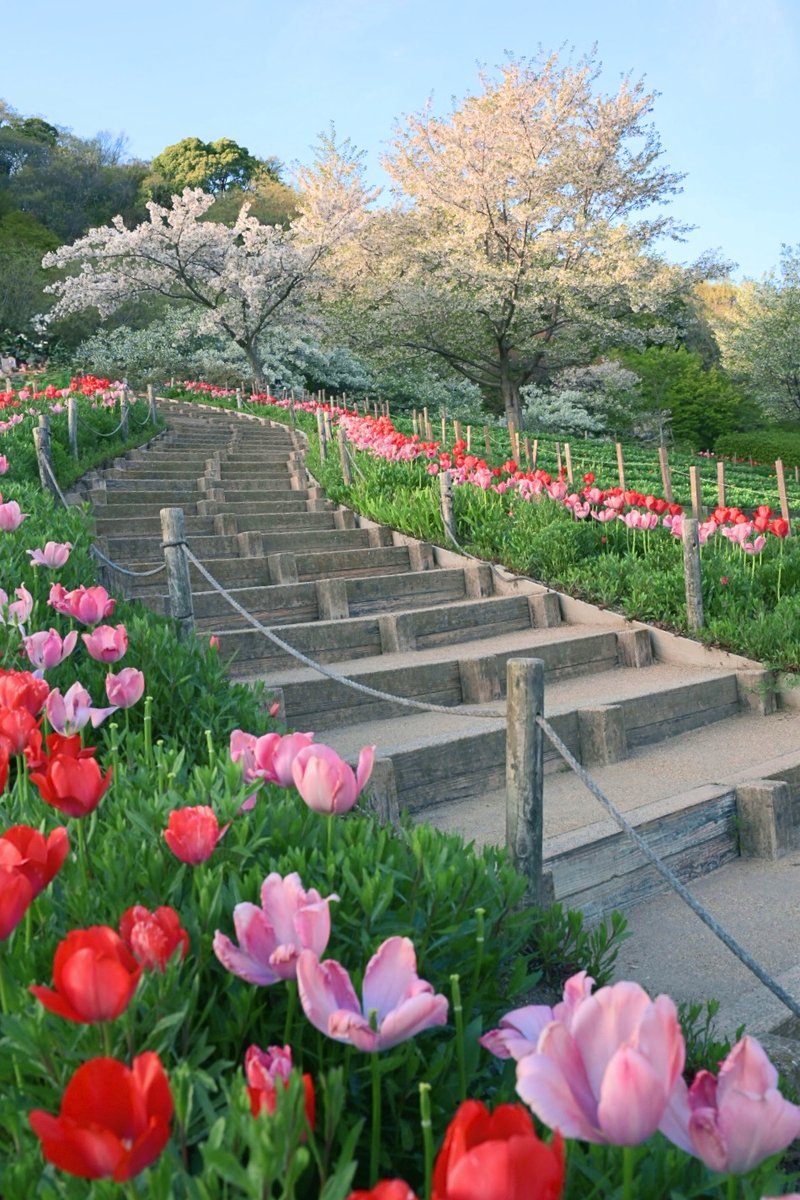 めぐ｜写真 tweet media