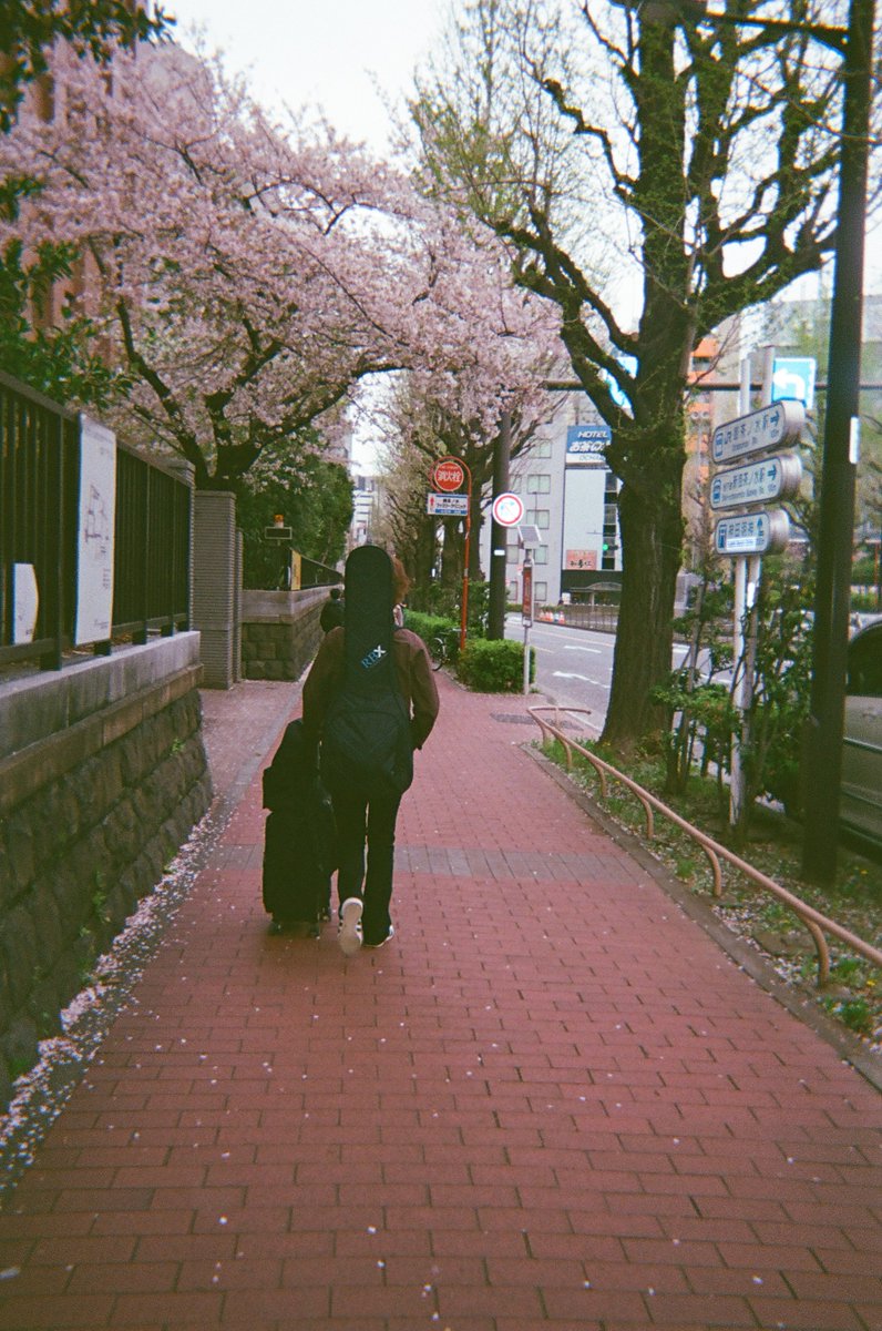 harrytpope's tweet photo. I’d be a fool to ignore the incredible feeling this has given me. This album will be with you as soon as I can manage and we have already begun plans for the next Japan tour. I want to grow this amazing thing I’m lucky enough to have started. I’ll see you soon! https://t.co/Lq5tk2EiO1