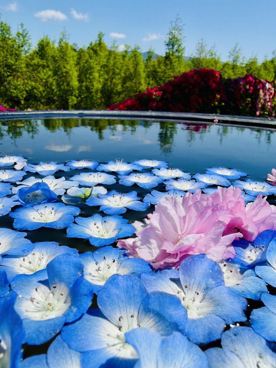 すまいる🍫🦊 tweet media