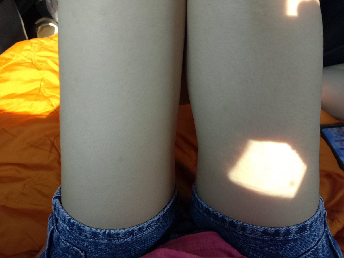 xiaojun of shedtwt tweet media