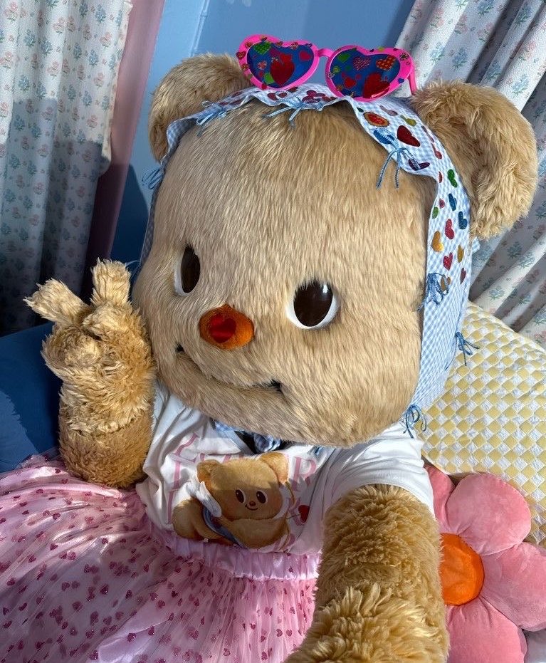 bibam 🍮 tweet media