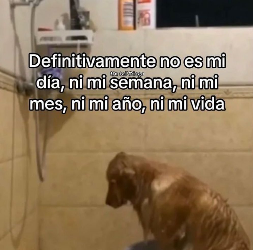 usuario (@usuariofyp) on Twitter photo 