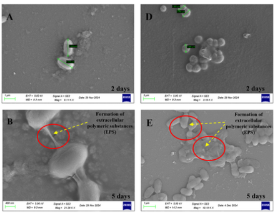 pv magazine tweet media