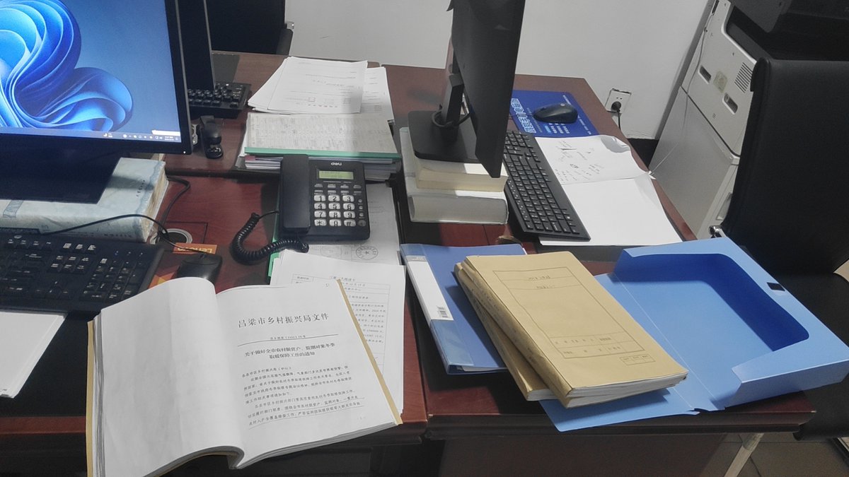 Lindsay Ellen Rowe tweet media