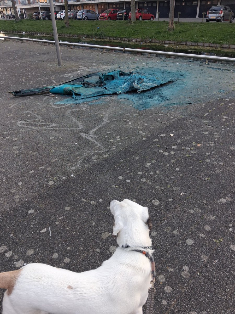 louisaadrianaV1's tweet image. #cas vroeg zie toch af hoe dan en waarom 🤐🤨 #nnmarthon #Rotterdam