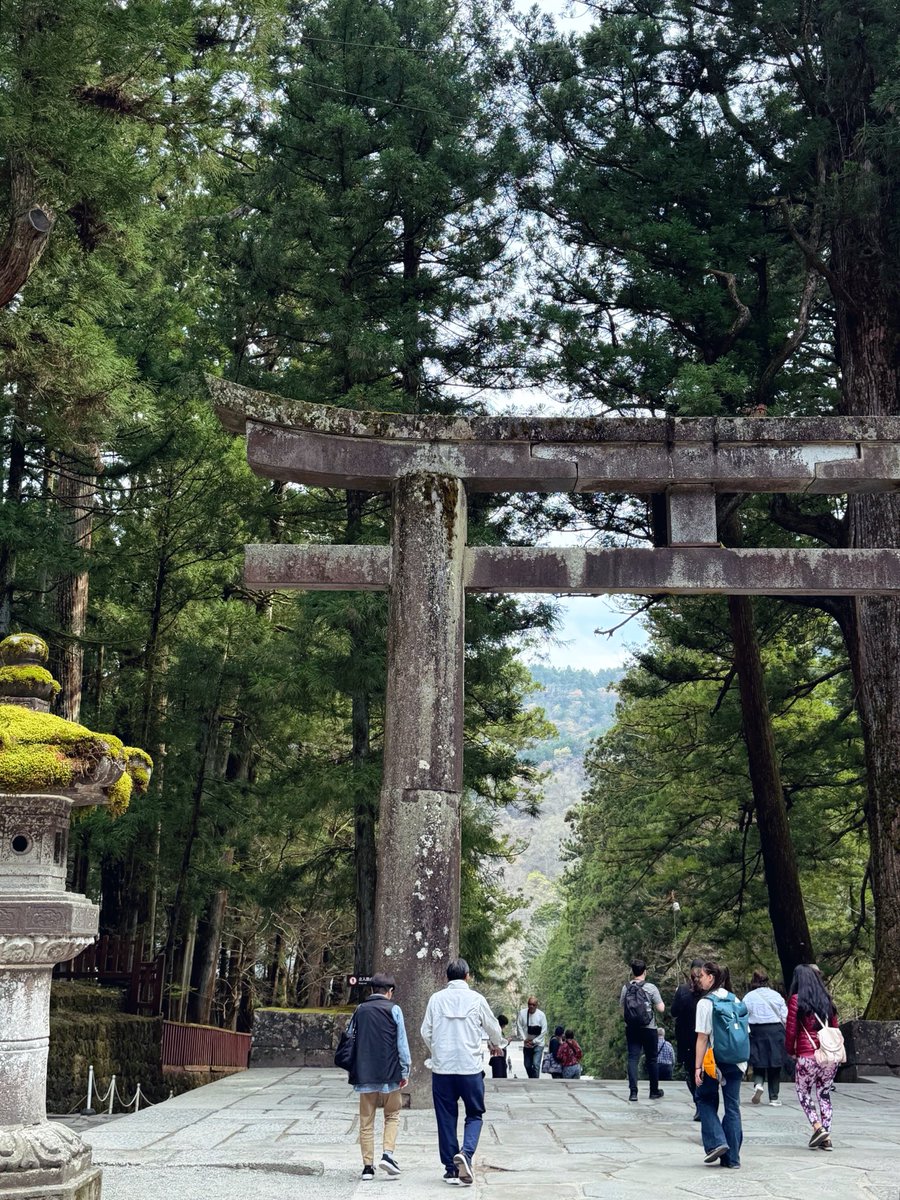 はらぺこ。 tweet media