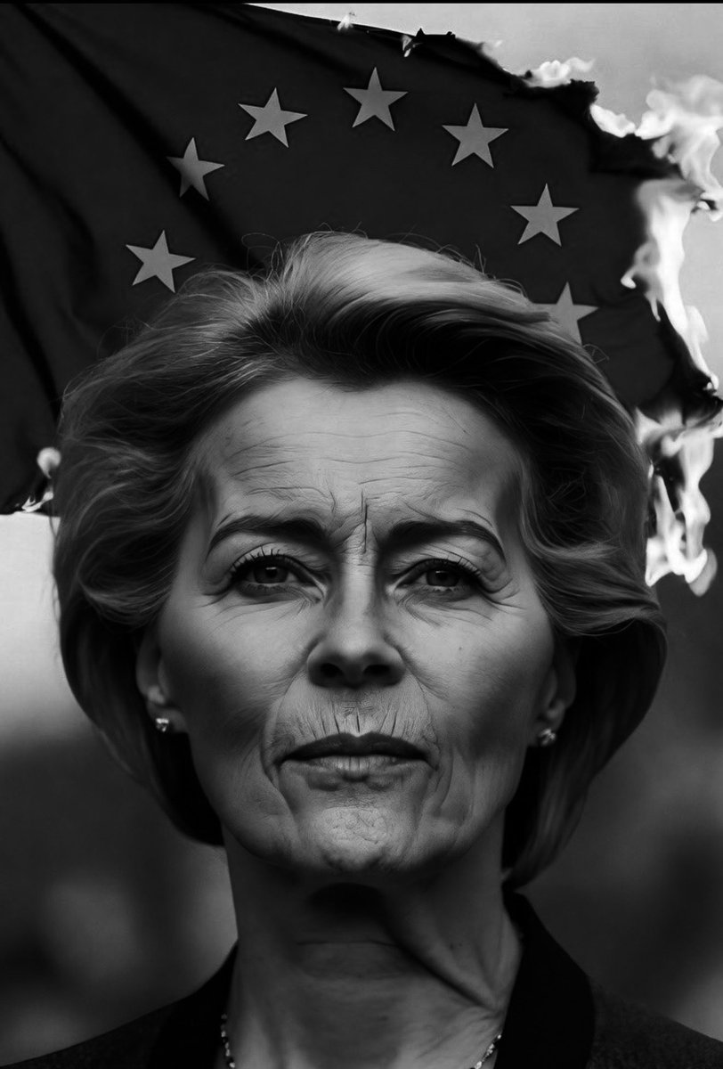 Georg Pazderski tweet media