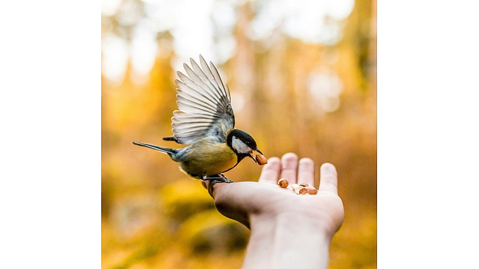 KashmirDrarif's tweet image. "…kindness is less about doing and more about being — about remembering the simple, unguarded ways our hearts already know how to meet."

— Helen Eveleigh

#kindness