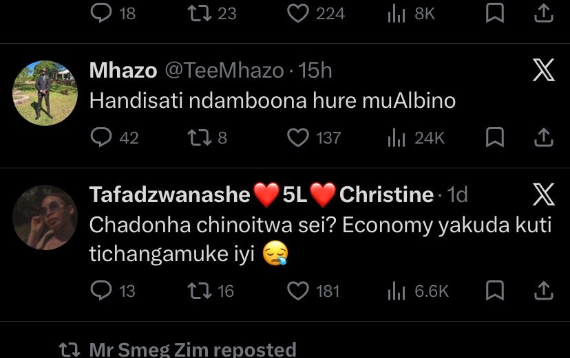 that quiet gal tweet media