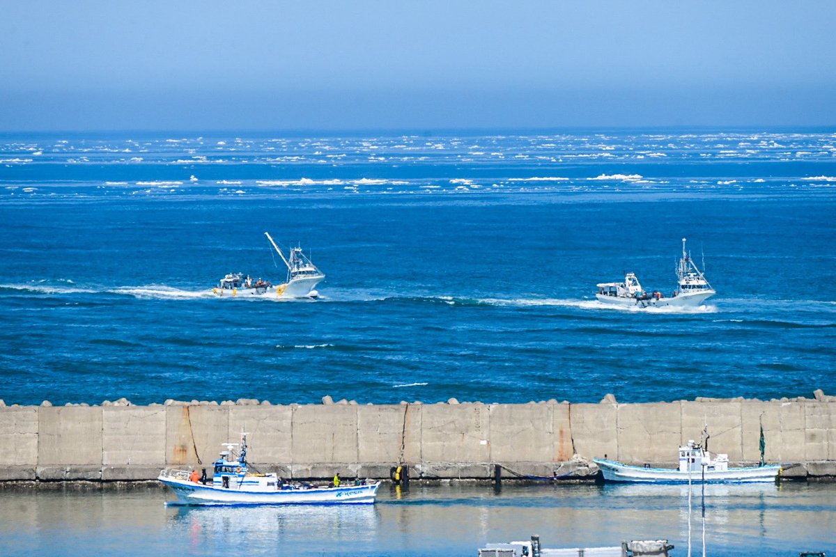 カメラのタカハシ tweet media